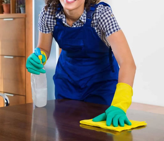 Mission and Vision of the company